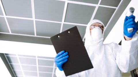 Common Indoor Air Pollutants Detected Through Air Quality Testing