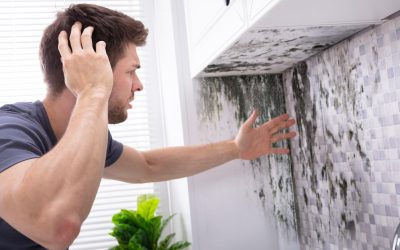 How Water Damage Restoration Prevents Mold and Structural Decay