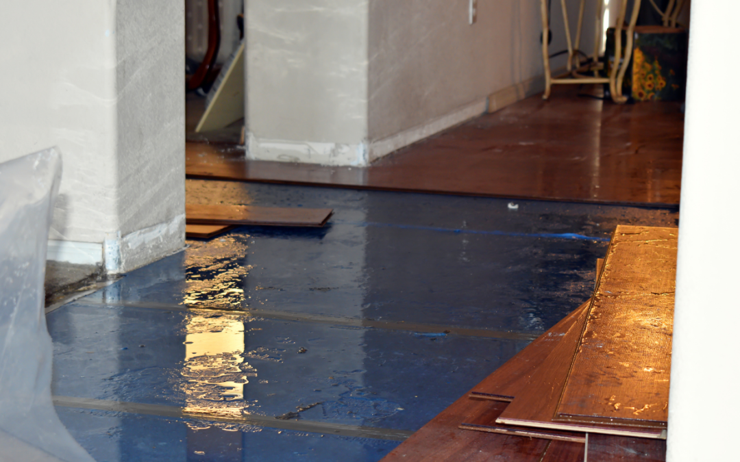 How Water Damage Restoration Can Improve Indoor Air Quality