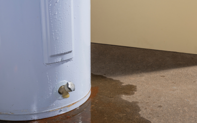 How to Identify and Prevent Hidden Water Damage on Your Property